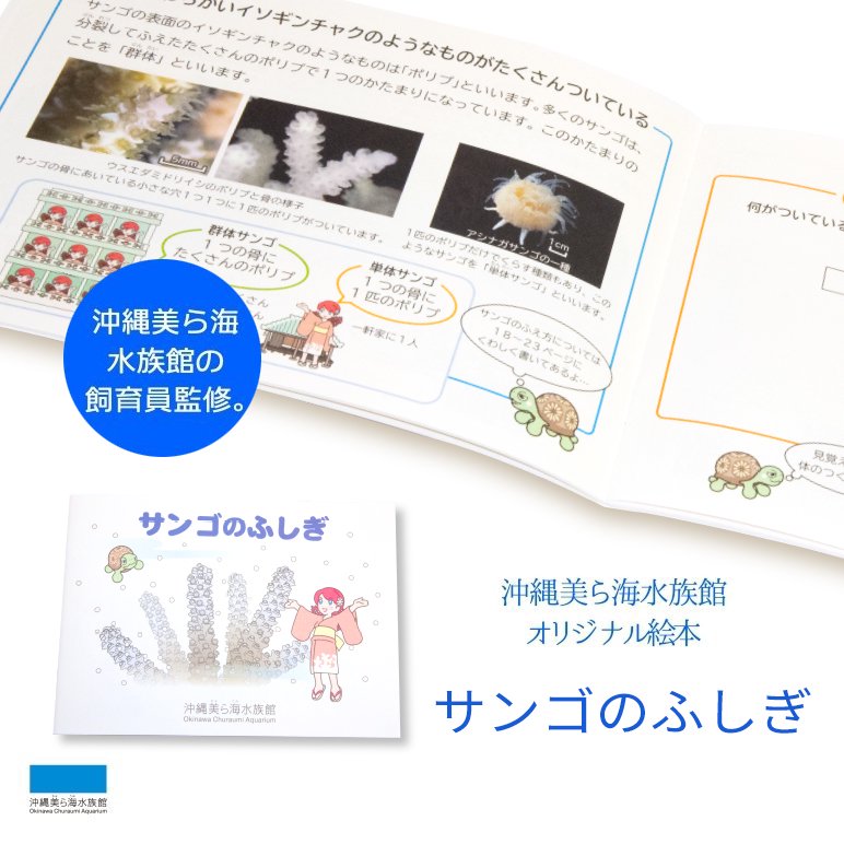 沖縄美ら海水族館オリジナル サンゴのふしぎ – 国際通り商店街 公式