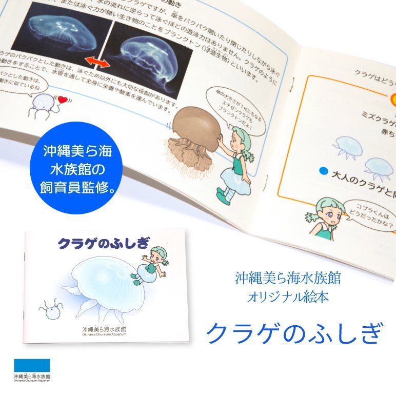 沖縄美ら海水族館オリジナル クラゲのふしぎ – 国際通り商店街 公式