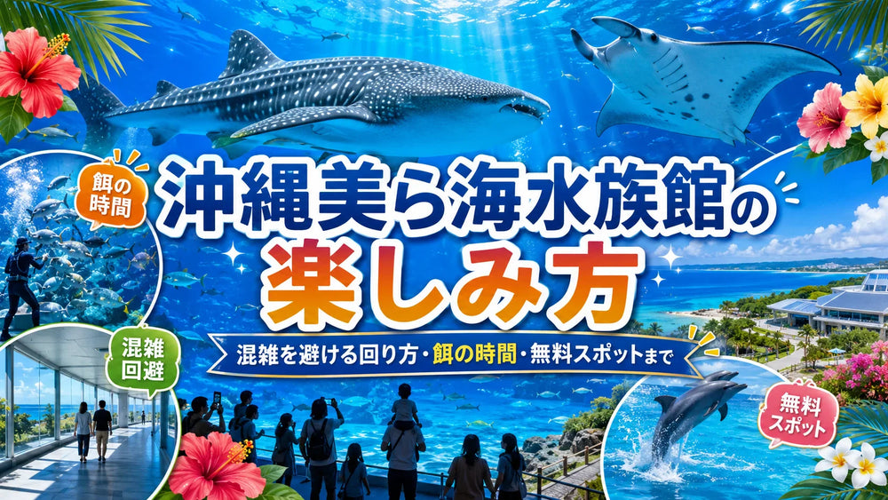 沖縄美ら海水族館の楽しみ方｜混雑を避ける回り方・餌の時間・無料スポットまで