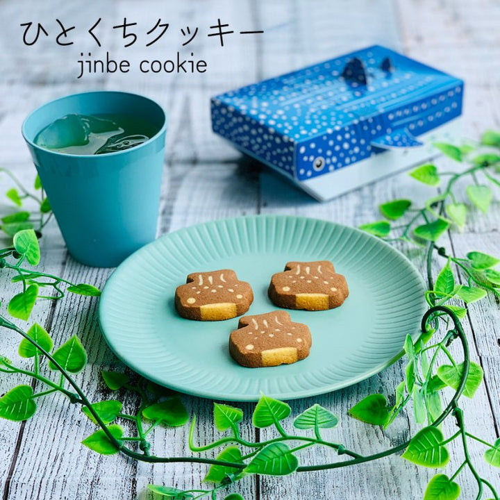 173553757_720x.jpg?v=1739943638