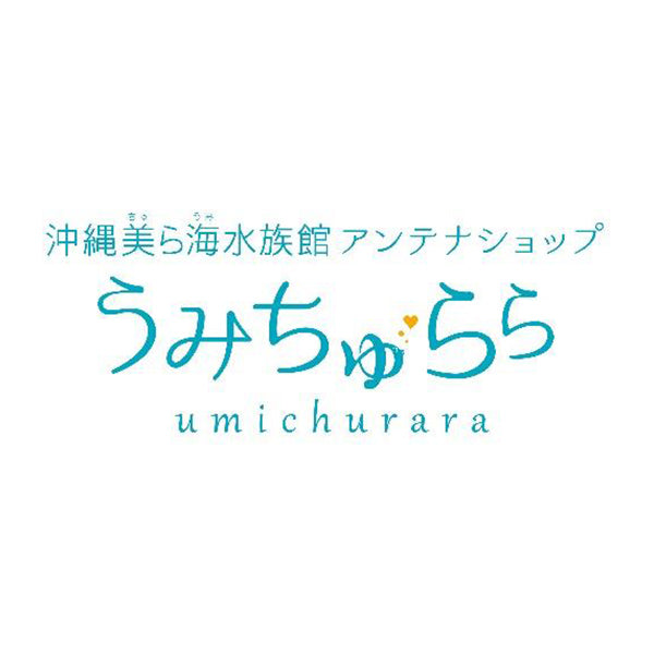 沖縄美ら海水族館オリジナル ちゅらうみサイダー3本セット(箱入り