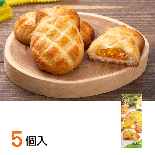 南国こんがりパイン 5個入