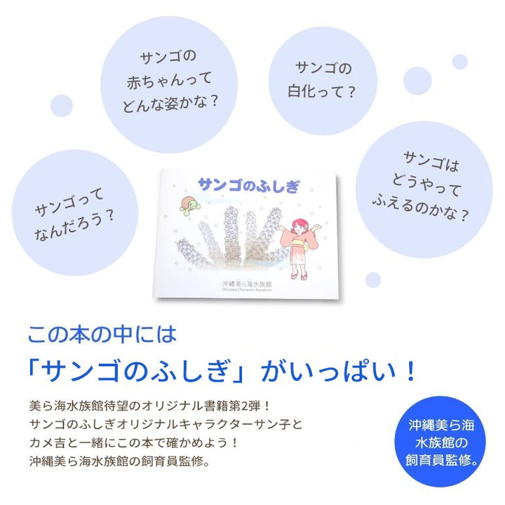 沖縄美ら海水族館オリジナル サンゴのふしぎ – 国際通り商店街 公式