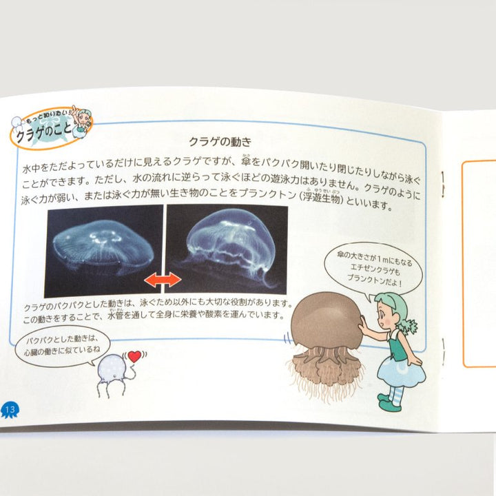 152009340_o2_720x.jpg?v=1736502492