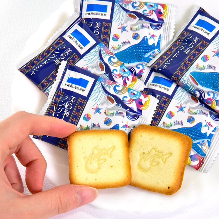 焼菓子 ラング・ドシャ 沖縄 美ら海 水族館 – 国際通り商店街 公式